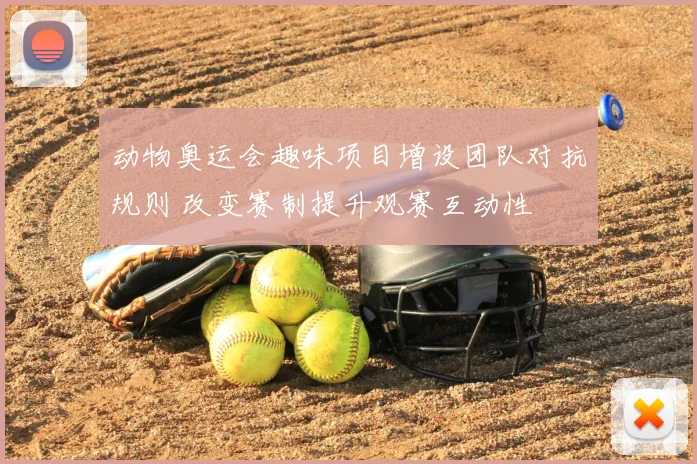 动物奥运会趣味项目增设团队对抗规则 改变赛制提升观赛互动性