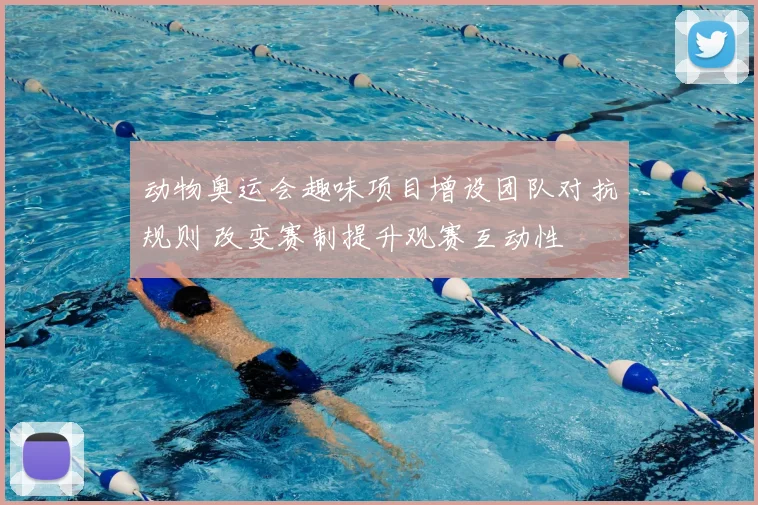动物奥运会趣味项目增设团队对抗规则 改变赛制提升观赛互动性