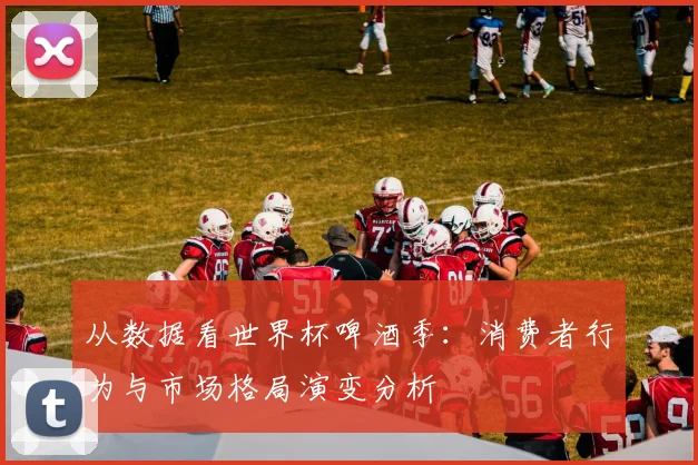 从数据看世界杯啤酒季：消费者行为与市场格局演变分析