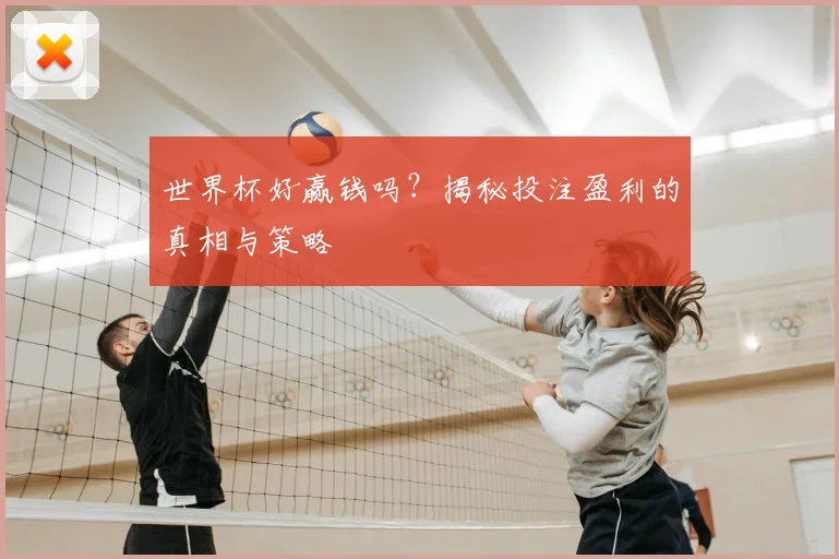 世界杯好赢钱吗？揭秘投注盈利的真相与策略